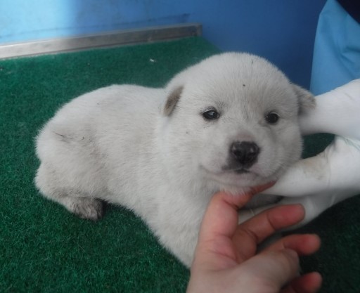 제주 동물보호센터_450650202501440